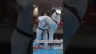 Колено Черной мамбы💥 Чемпионат Японии 2024. #eremenkodojo #kyokushin #iko #ko #一拳ko #videoeremenko