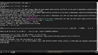 BMC Helix Control-M: Configuring the Automation API command line interface