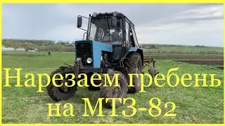 Нарезаем гребень на МТЗ-82 2021 Посадка картофеля