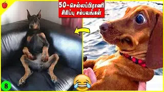 சிரிக்காம இருக்க முயற்சி பண்ணுங்க EP17 | Animals Atrocity Tamil Funny videos | ThirdBrain