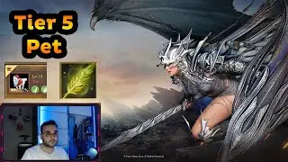 BDO Tier 5 Pet T5 Pet Guide 2023