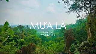 Mưa Lá - Thành Zen