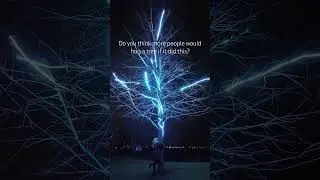Would You Hug a Tree if It Did This?? | Lumière: The Art of Light
