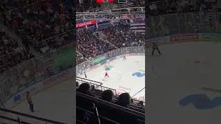 Россия - Беларусь. Буллит (3)