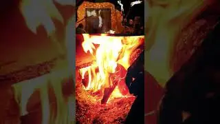 #ایام_فاطمیہ