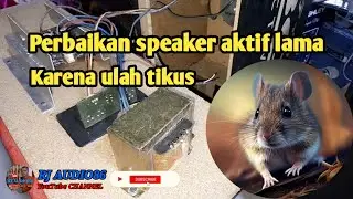 Memperbaiki speaker aktif lama | Rusak karena tikus