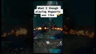 Expectation vs Reality in Hogwarts #shorts