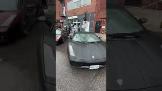 Lambo squad with reese mobile #shorts #carshow #ontario #lambo #reese