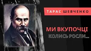 Ми в купочці колись росли... Тарас Шевченко