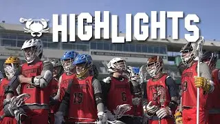 Highlights: Committed Combine  CC44 2022