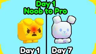 Pet Simulator 99 - Noob To Pro Part 1!