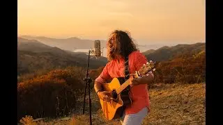 WhileWild - Paradise (Official Music Video) 4K