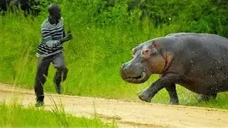 5 Vicious Animal Attacks That People Survived