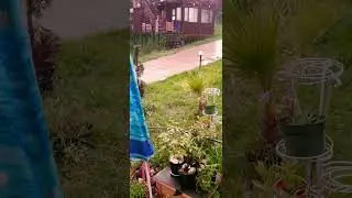25 августа 2024  Адлер с. Черешня. Вечер настал и тут началось ☔🌪🌬