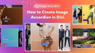 How to Create Image Accordion in Divi | Divi Essential