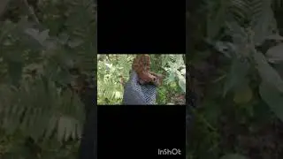 #коп
