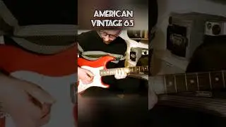 This STRATOCASTER sounds PHENOMENAL #fender #stratocaster #music