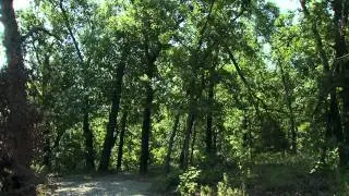 Keystone Ancient Forest in Sand Springs, Oklahoma