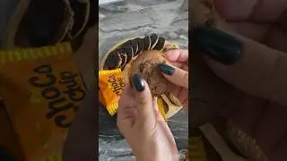 Chocolate chip | orange cookies 