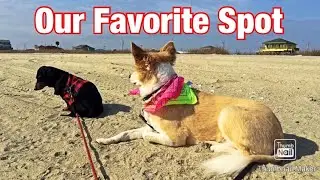 Camping on the Beach