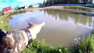 Рыбалка 🎣 на платных прудах!!! Осётр,Карп,Линь,Карась!!! 1часть.