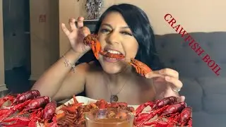 CHIT CHAT CRAWFISH BOIL, NEW INTRO