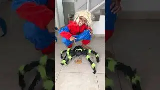Mi Mamá Cuando ve una Araña 🕷️ ! 
