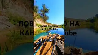 ✅️Там Де Є Дика Природа #shorts #відпочинок #природа #рибалка