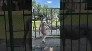 18+ Yoshlar kurmasin 😱 Nigina jinni tiktok 