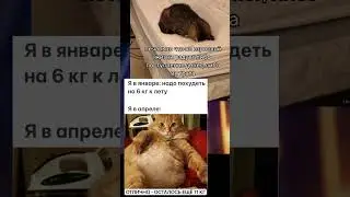 мем про мемы из #мемов