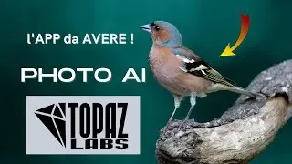 Photo AI l'applicazione da avere assolutamente!