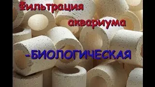Фильтрация аквариума. Выпуск 3.  Биологическая фильтрация. Часть 1