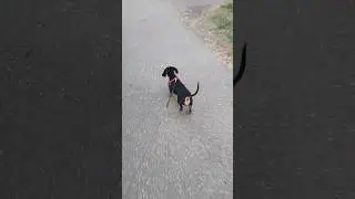 А на улице Лето, Зелёного цвета! 