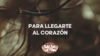 Se Ha Caido El Silencio | Mary'o | Letra | Salsa Con Letra | HQ