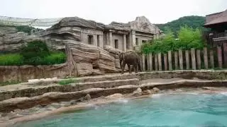 Lost Valley ride @ Everland Korea