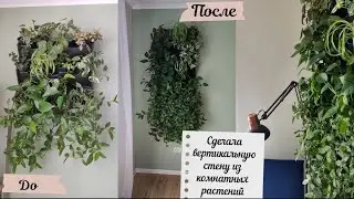 Вертикальная стена из комнатных растений /Urban Jungle/ Сделала зону для чтения