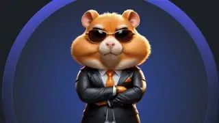 Telegram Orqali birga pul ishlaymiz HAMSTER KOMBAT