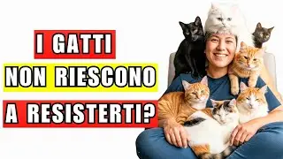 Perché i gatti sono attratti da te? Ti spiego perché!
