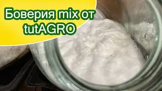 Боверия mix от tutAGRO продолжение / боверия растёт и дальше