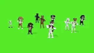 Instagram Reels Dog Green Screen | Creative Commons | Cinematic Effect 
