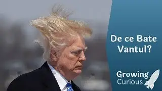 De ce Bate Vantul?