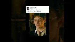 dumbledore ve Harry Potter Diyarbakır versiyon