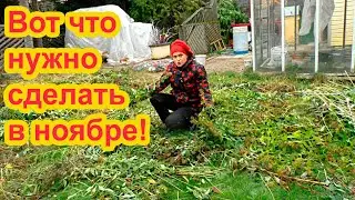Что делать в саду в ноябре?