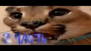 Мемы со шлёпой 2 часть / шлёпа / мемы про шлепу
