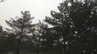 East Tennessee Rain