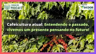 Podcast #137 - Cafeicultura atual: Entendendo o passado, vivemos um presente pensando no futuro!