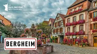 Bergheim - Grand Est Region - Stéphane Bern - The French's Favorite Village