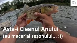 🎣 Cleanul anului sau macar al sezonului! Timișul mic și limpede. Clenii frumoși, greu de pacalit! 🎣