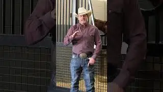 Rubber mats protect your horse stalls base 