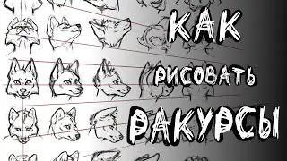 КАК НАРИСОВАТЬ МОРДУ ФУРРИ В РАЗНЫХ РАКУРСАХ